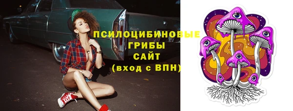 apvp Зеленокумск