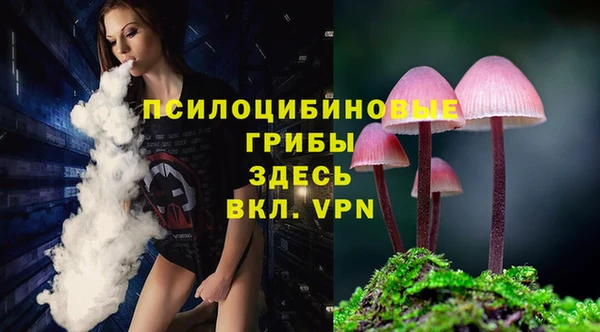 герыч Зерноград