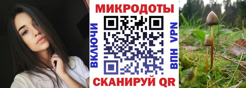 Галлюциногенные грибы MAGIC MUSHROOMS  Купить  Губкин 